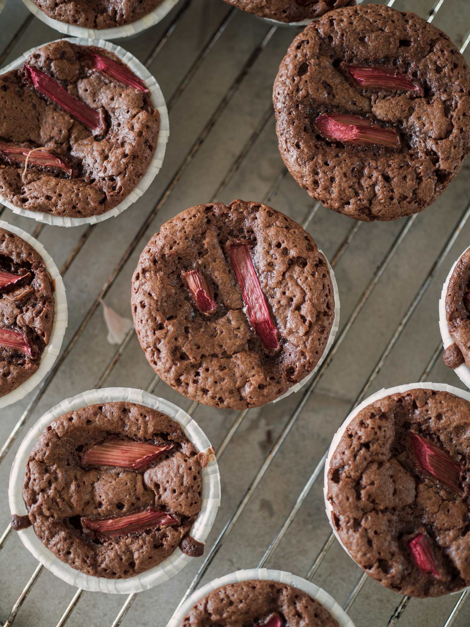 Chokolademuffins med rabarber