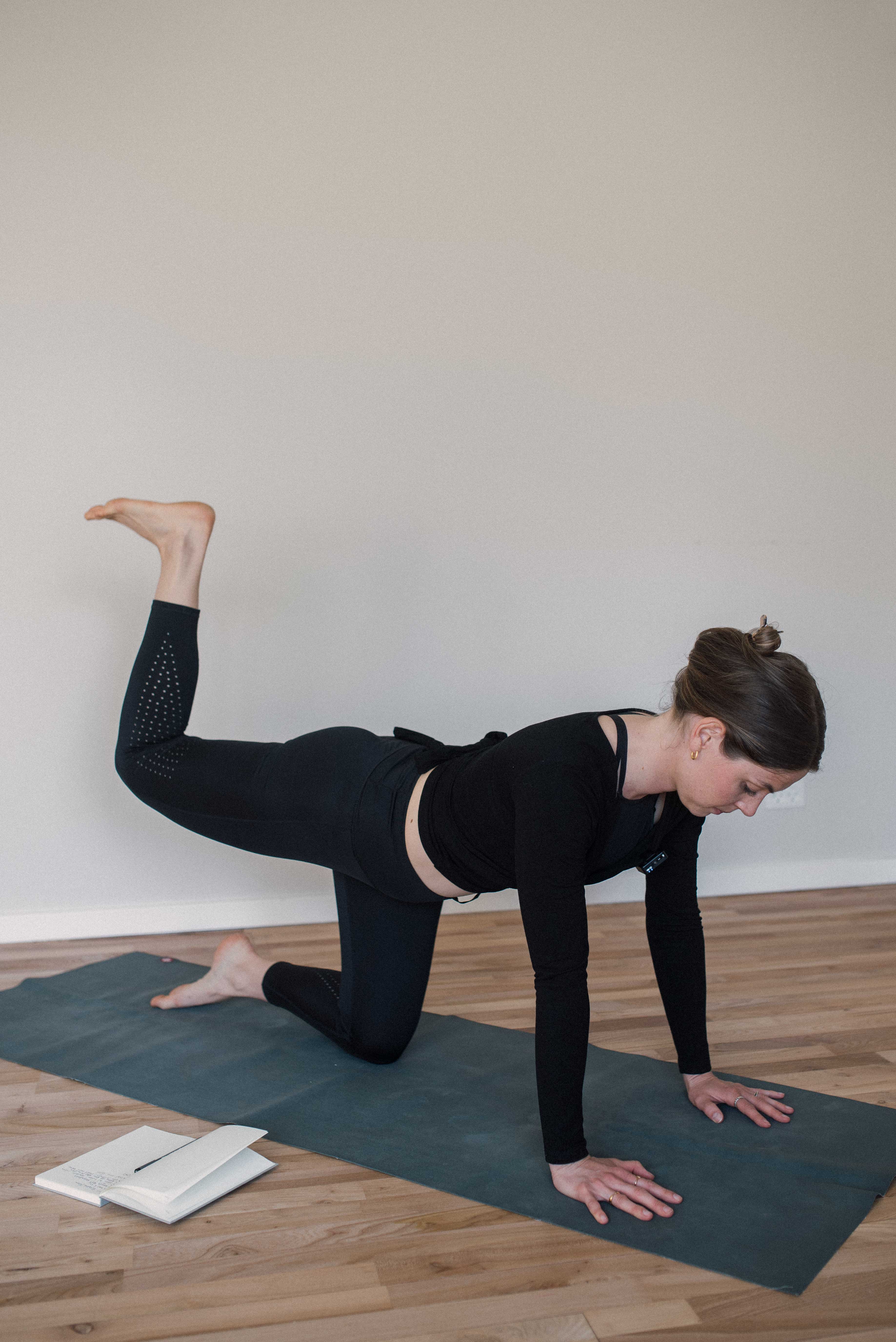 Gravid venlig arm- og balletræning