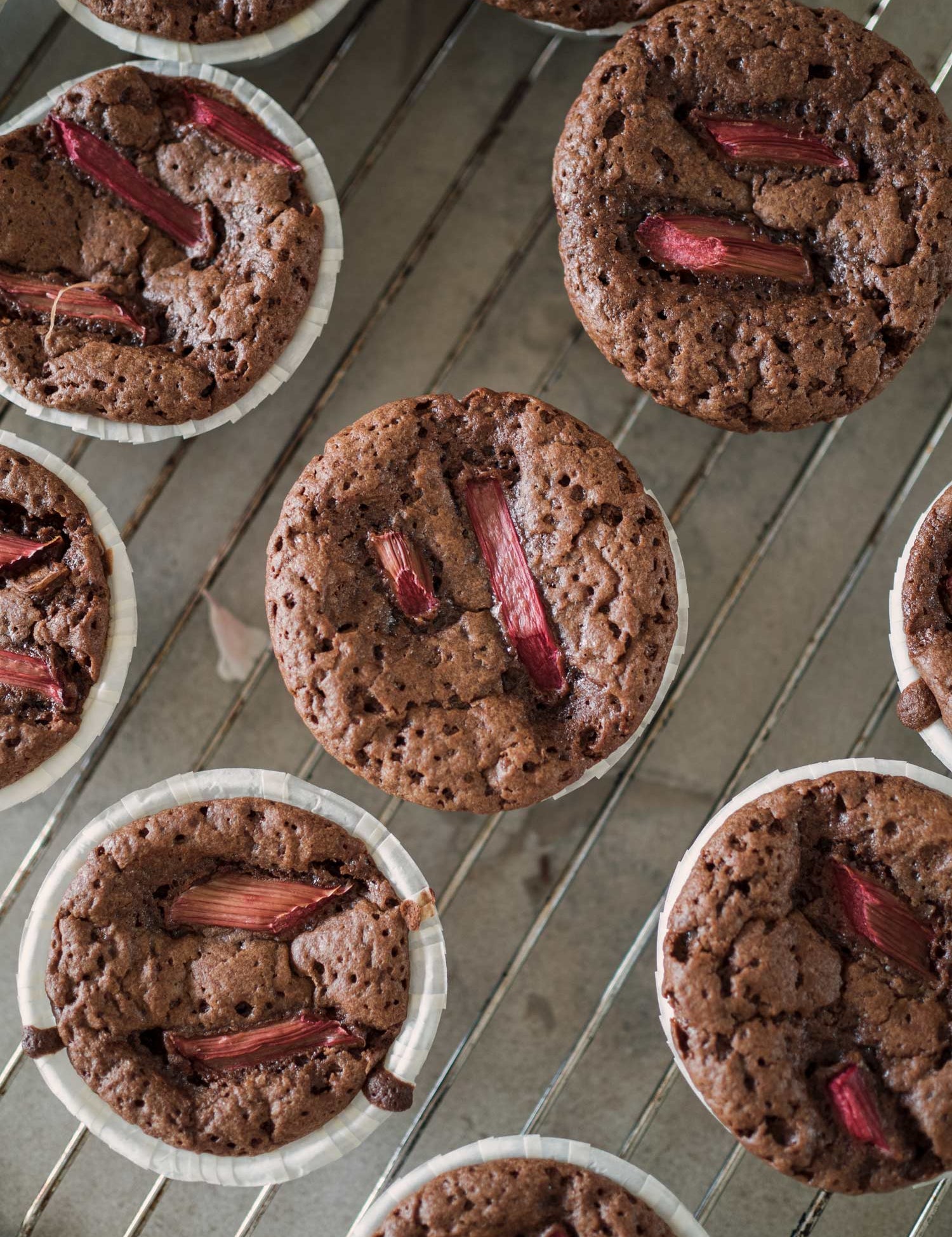 Chokolademuffins med rabarber