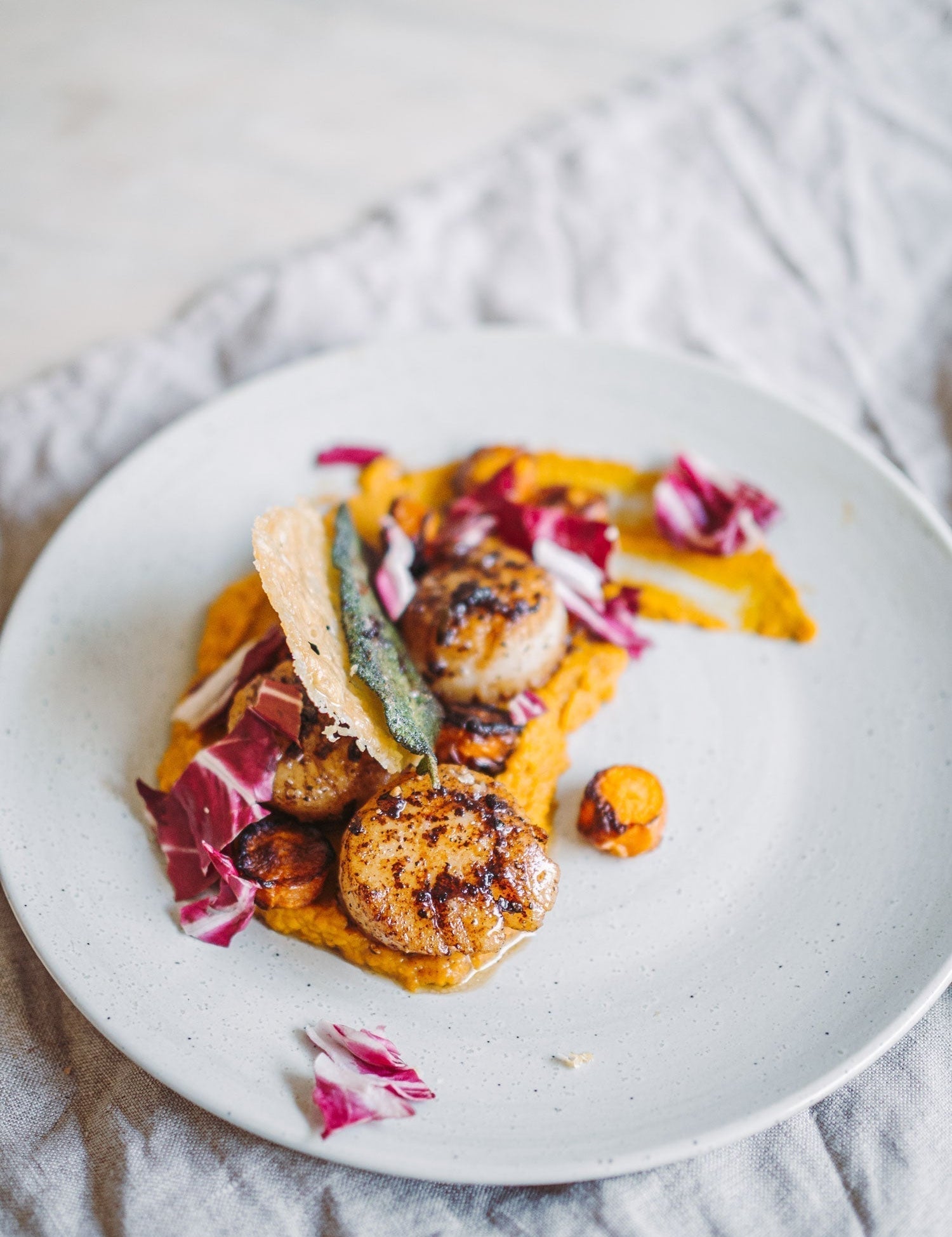 Forret med kammuslinger og ristet gulerod