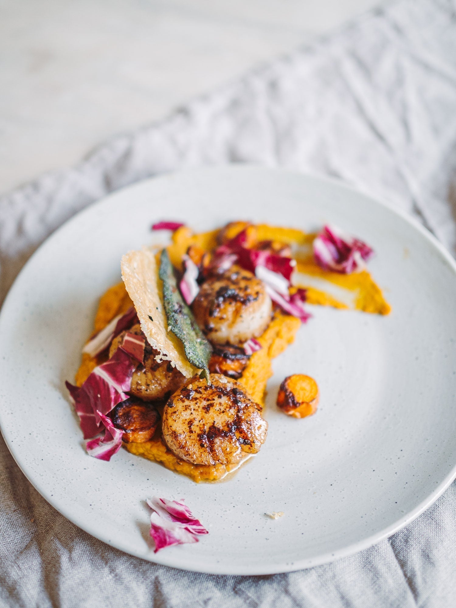 Forret med kammuslinger og ristet gulerod